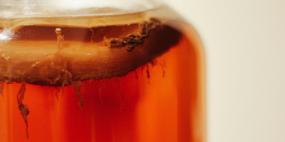 kombucha cloudy drink